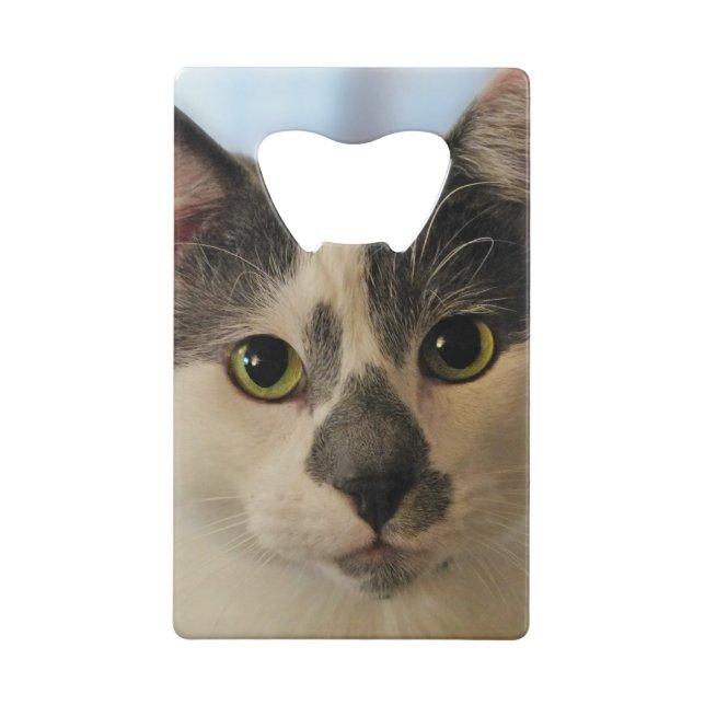 Cute Cat (Back)