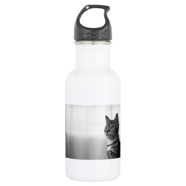Cute Cat 532 Ml Water Bottle (Front)