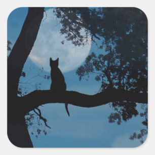 Cute Cat and Moon Stickers