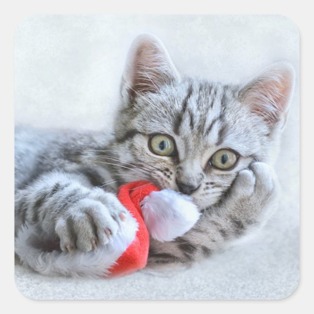 Cute Cat and Santa Claus Hat Square Sticker (Front)