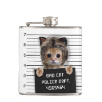 Cute cat bad boy