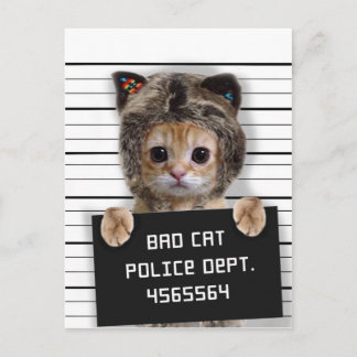 Cute cat bad boy postcard