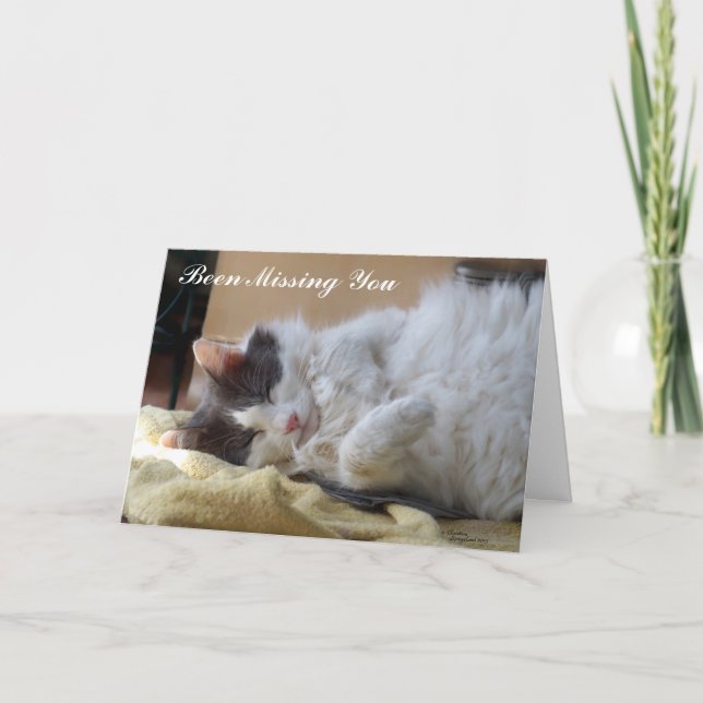 Cute Cat Been Missing You Greeting Card (Front)