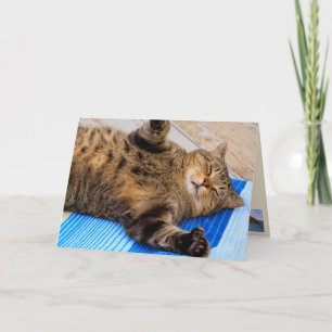Cute Cat Big Hugs Birthday Card