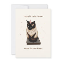 Cute Cat Birthday Card