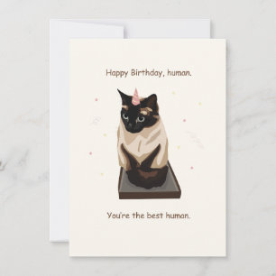 Cute Cat Birthday Card