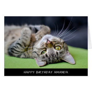 Cute Cat Birthday Card