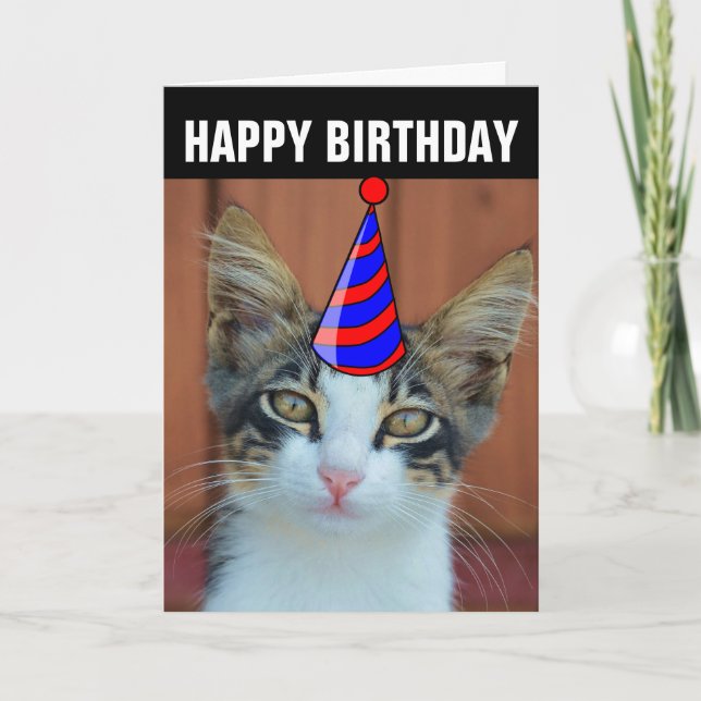CUTE CAT BIRTHDAY CARDS (Front)