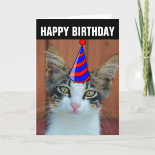 CUTE CAT BIRTHDAY CARDS