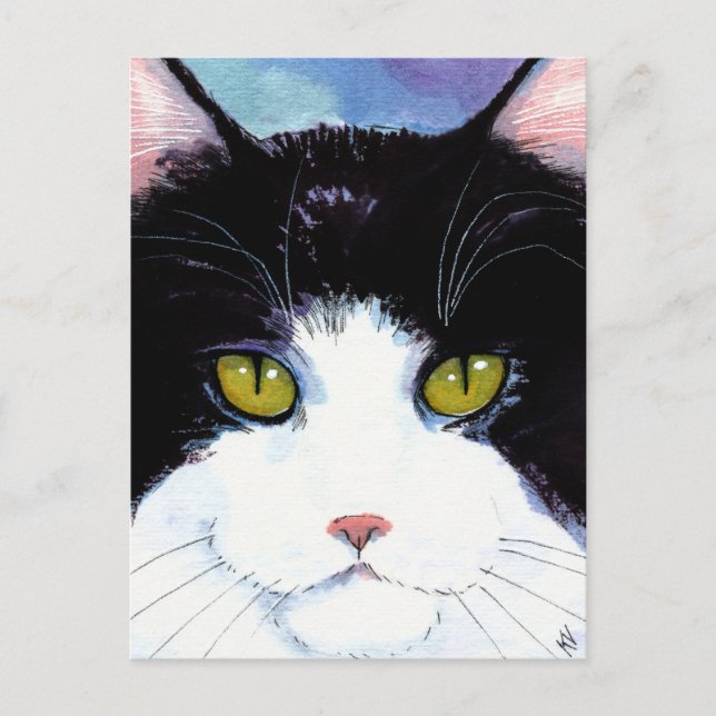 Cute cat black & white tuxedo Maine Coon postcard (Front)