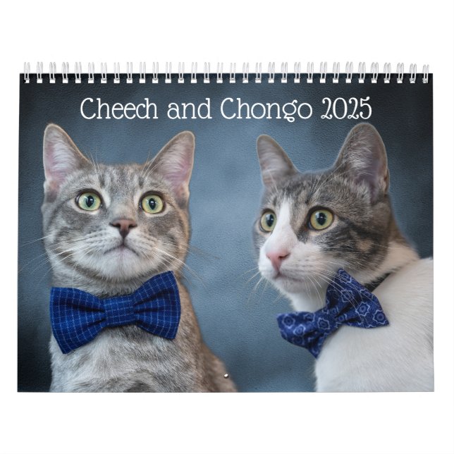Cute Cat Calendar (Cover)