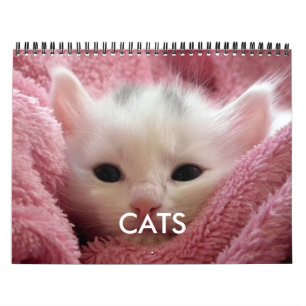 Cute Cat Calendar Pink Cosy Cat Lover
