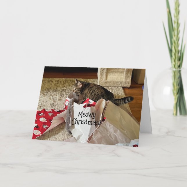 Cute  Cat Christmas, enjoying present custom cards (Front)