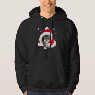 Cute Cat Christmas Funny Santa Cat Lovers Kids Boy Hoodie