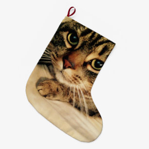 Cute Cat Christmas Stocking
