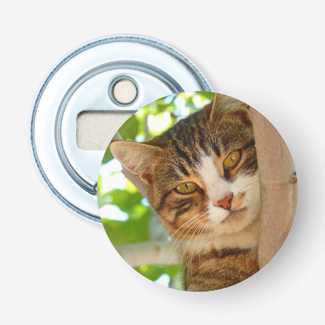 Cute Cat Climbing a Tree Bottle Opener (Front)