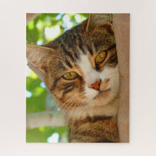 Cute Cat Climbing a Tree Jigsaw Puzzle