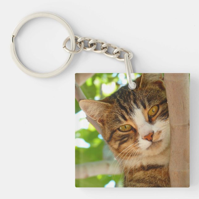 Cute Cat Climbing a Tree Key Ring (Front)