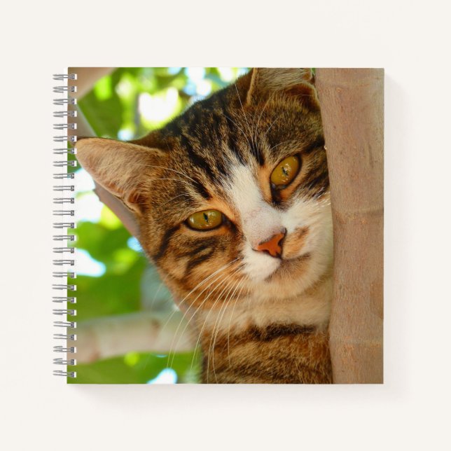 Cute Cat Climbing a Tree Notebook (Front)