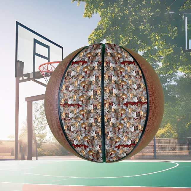 Cute cat collage basketball (Creator Uploaded)