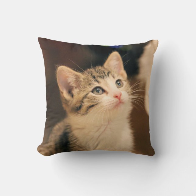 Cute cat cushion (Front)