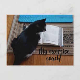 Cute Cat Exercise Coach Your Text Postcards