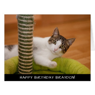 Cute cat Extra Large Birthday Card