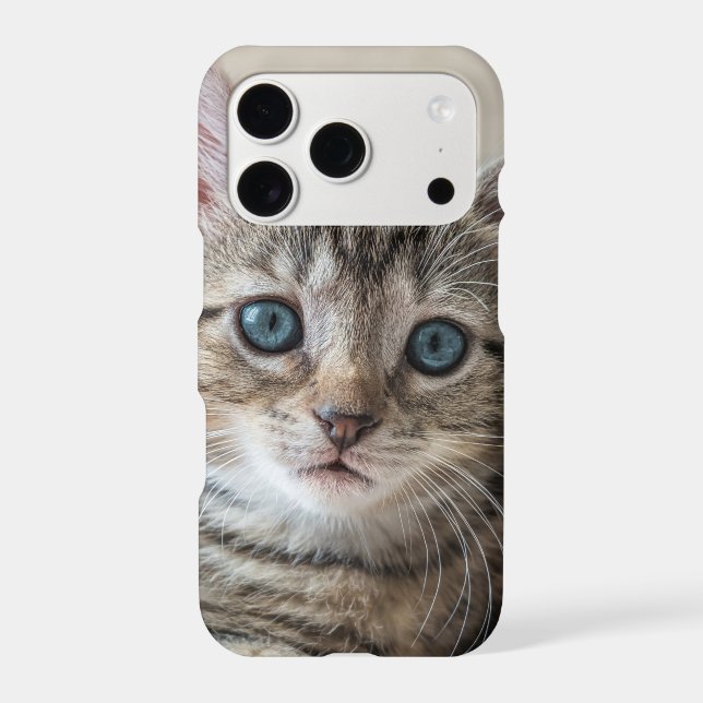 Cute Cat Face (Back)