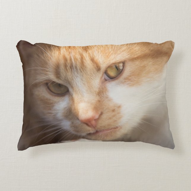 Cute Cat Face on a Decorative Cushion (Front)