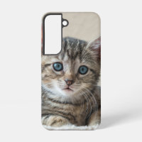 Cute Cat Face