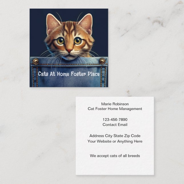 Cute Cat Feline Foster Home Theme Square Business Card (Front/Back)