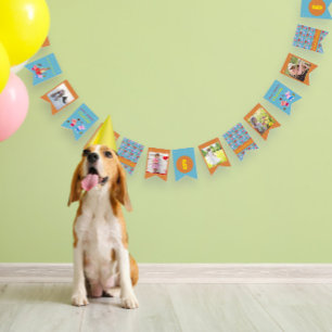 Cute Cat & Gifts Birthday Custom Photo Orange Blue Bunting