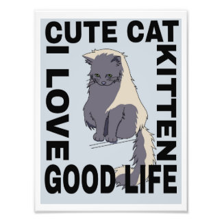 Cute cat good life  photo print