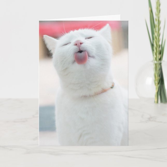 Cute Cat Greeting Card (Front)