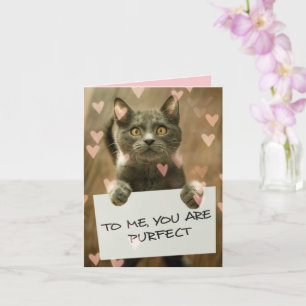 Cute Cat & Hearts You are Purfect Card