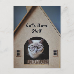 Cute Cat Humour Funny Cats Have Staff Quote Postcard