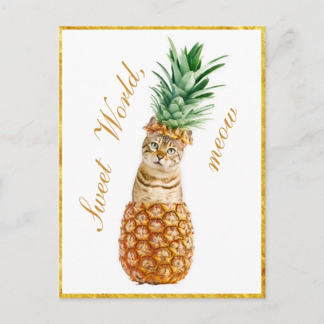 Cute Cat in a Pineapple - Funny Meow Kitty Postcard (Front)
