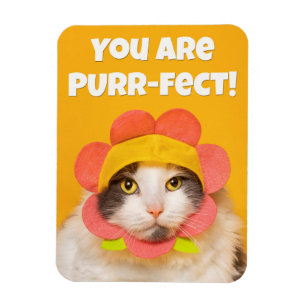 Cute Cat in Flower Hat Humour Magnet