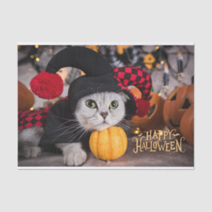 Cute Cat in Funny Halloween Costume Tissue Paper
