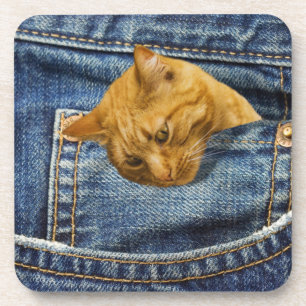 Cute cat in jeans pocket funny illusion coaster