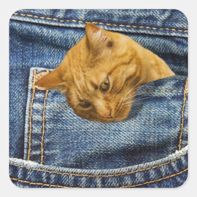 Cute cat in jeans pocket funny illusion square sticker (Front)
