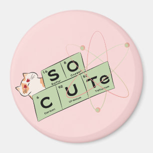 Cute Cat In Love Magnet