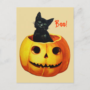 Cute Cat in Pumpkin Vintage Halloween Postcard
