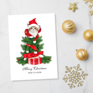 Cute Cat in Red Santa Hat Christmas Personalised Holiday Card