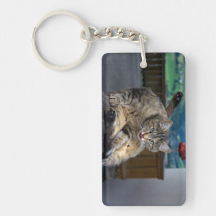 Cute Cat Interrupted While Grooming Key Ring