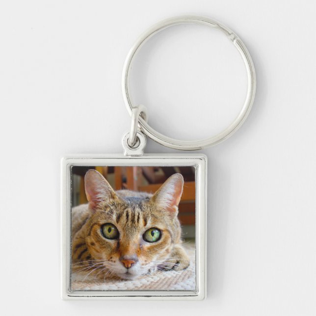 Cute Cat key chain (Front)