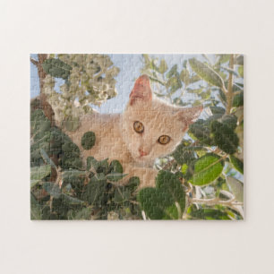 Cute Cat Kitten climbing in an Eucalyptus Tree - Jigsaw Puzzle