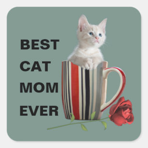 Cute Cat Kitten Pet Lovers Gift  Square Sticker