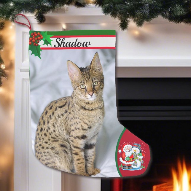 Cute Cat Kitten Photo Christmas Stocking Name (Creator Uploaded)