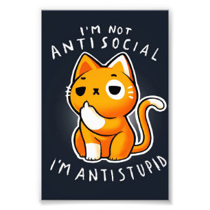 Cute Cat Kitty Gift  Cat For Birthday  Photo Print